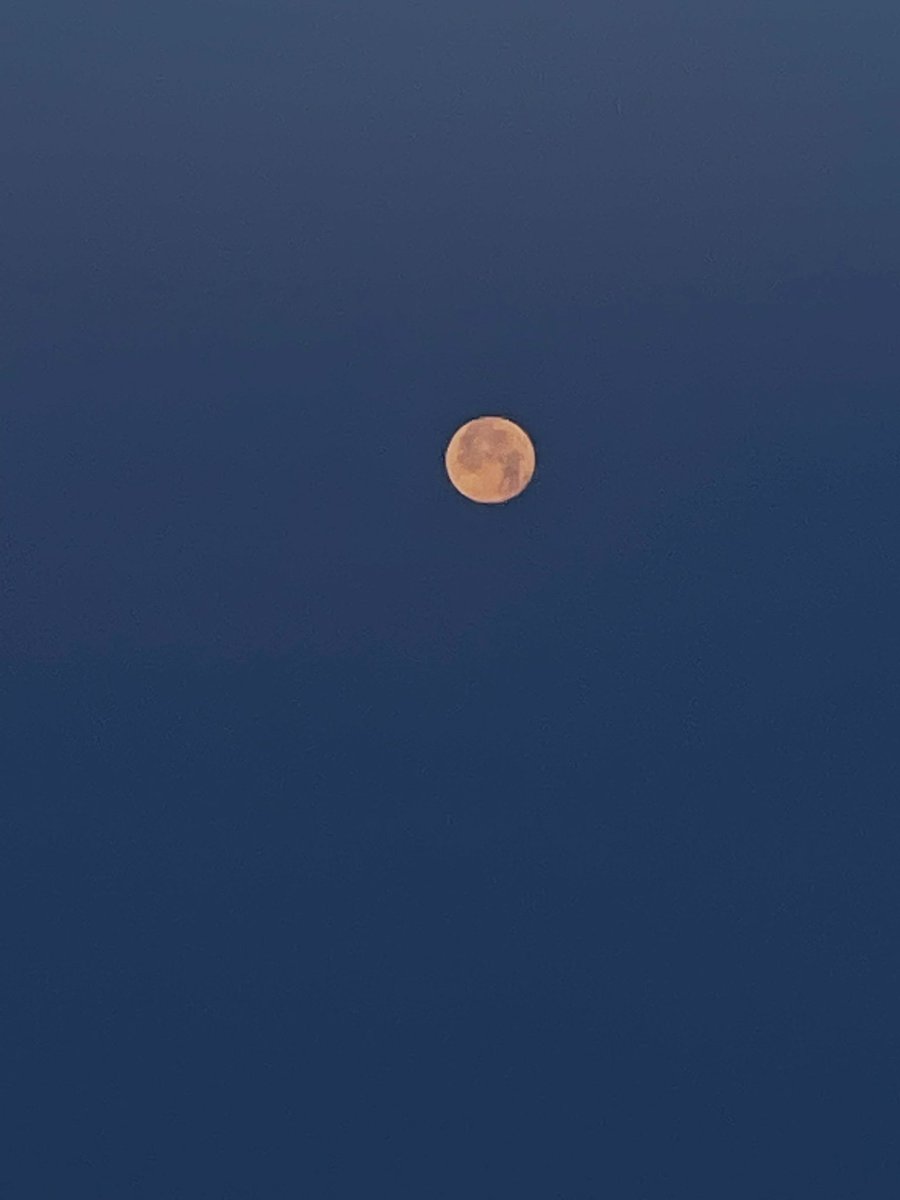 itsvivnicole's tweet photo. This was my view of the moon on my 6am flight. ✨ https://t.co/fCxFa87can