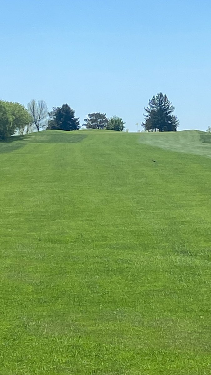 Garretson River Ridge Golf Club (@sdriverridgegc) on Twitter photo Beautiful!
#RiverRidge Beautiful!
#RiverRidge