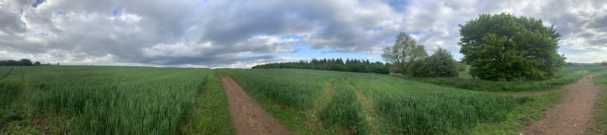 After one of those days at school where I only managed 2 cups of coffee (but 1 went cold!) and 0 loo breaks it was good to get out for a run across the hills <a href="/SavingHucknall/">Saving Hucknall</a>  Super important to give yourself headspace every now and then <a href="/ILSCITT/">Inspiring Leaders Teacher Training</a> #teachertoptips #tiredteacherlegs