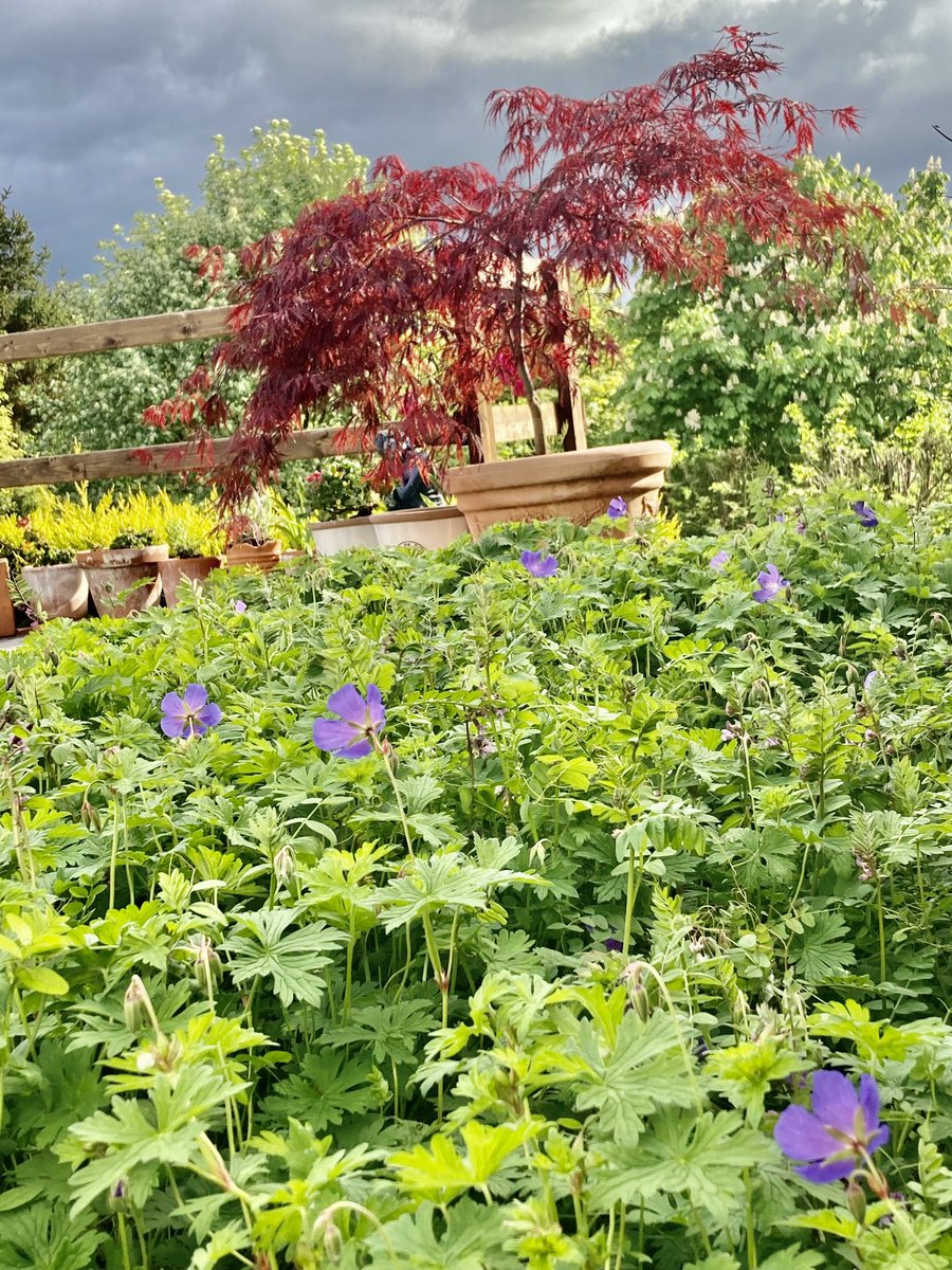 Kevin Foley (@foleykev) on Twitter photo 