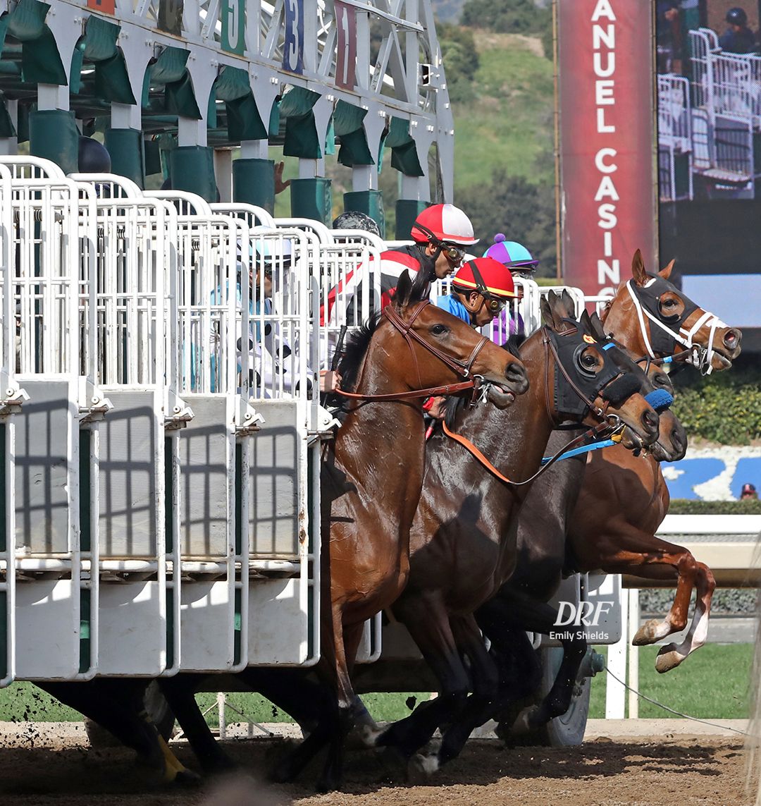 Daily Racing Form on Twitter: 