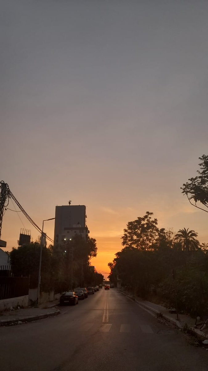 SarahTchil's tweet photo. From today's walk ♡ https://t.co/0eJS6UOAfI