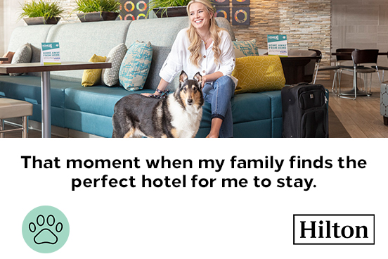 Hilton properties are now welcoming pets to come along on vacation with their owners!  Discover more about our must-visit pet-friendly properties in our 2022 Summer Trends Report: hil.tn/svq5u7
