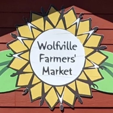 Destination Acadia tweet media