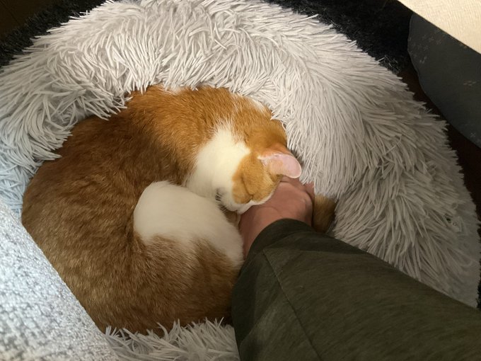 今日も守ったぞ 