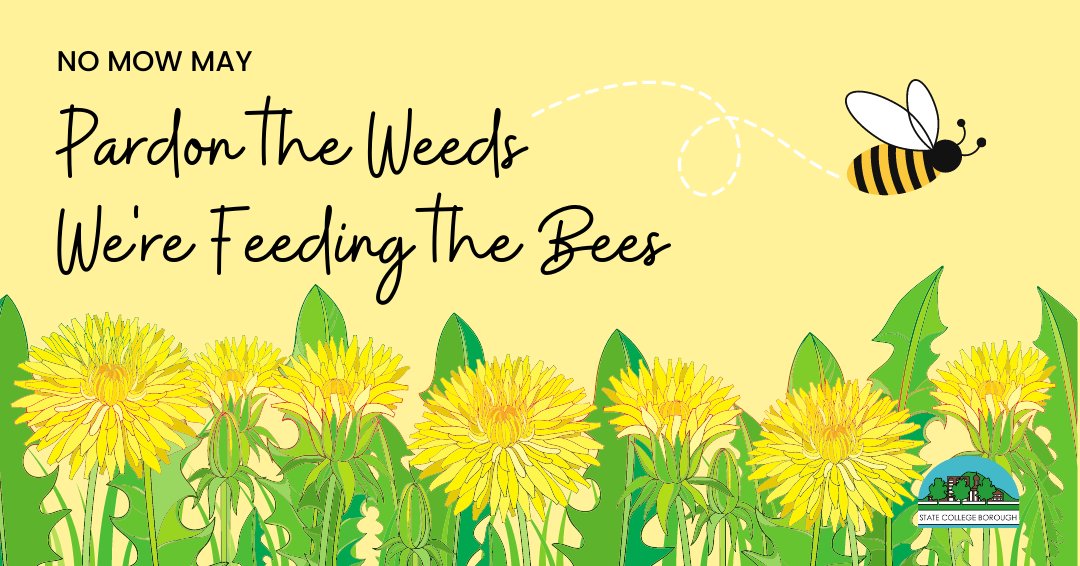 State_CollegePA's tweet photo. 🌻 No Mow May 🦋

May has been designated as No Mow May in the Borough. The Borough is temporarily suspending the enforcement of the grass &amp; weed length ordinance until June 1st to encourage property owners to partake in pollinator-friendly lawn care practices. #sustainability https://t.co/BJwOenHCe2