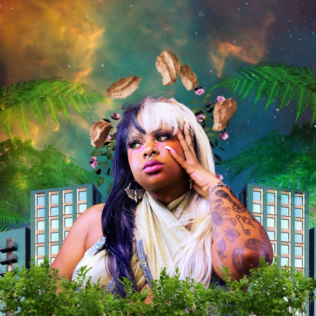 The D Brief tweet media