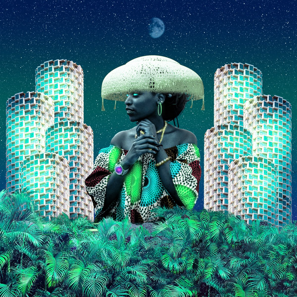 The D Brief tweet media