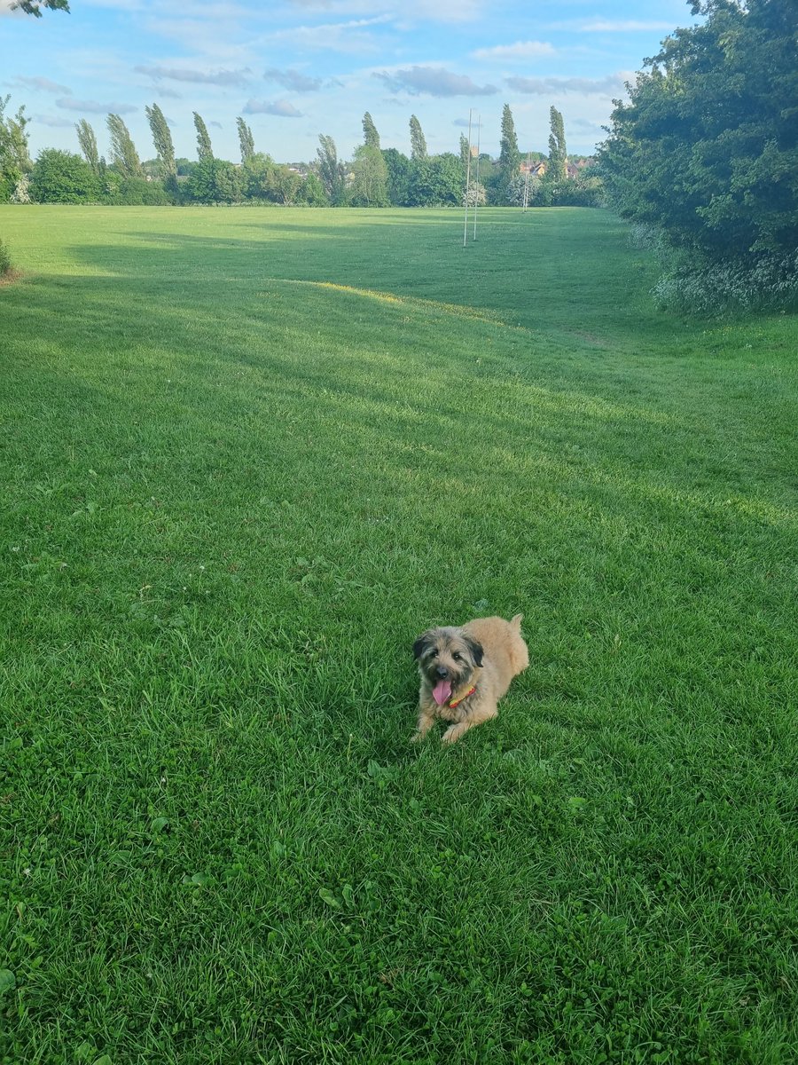 After a busy day in the office supporting our injured clients i'm home in time to walk this one 💕#goodstarttotheweek #cfglife @CfgLaw