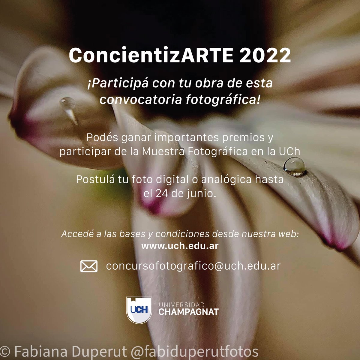 uchampagnat's tweet photo. #AgendaUCh 👉La #UniversidadChampagnat convoca a fotógrafos aficionados o profesionales a participar de #ConcientizARTE. Una propuesta que busca resaltar el valor de la mirada fotográfica para la concientización de temas relevantes a través del arte. https://t.co/2sWbBVwyxv