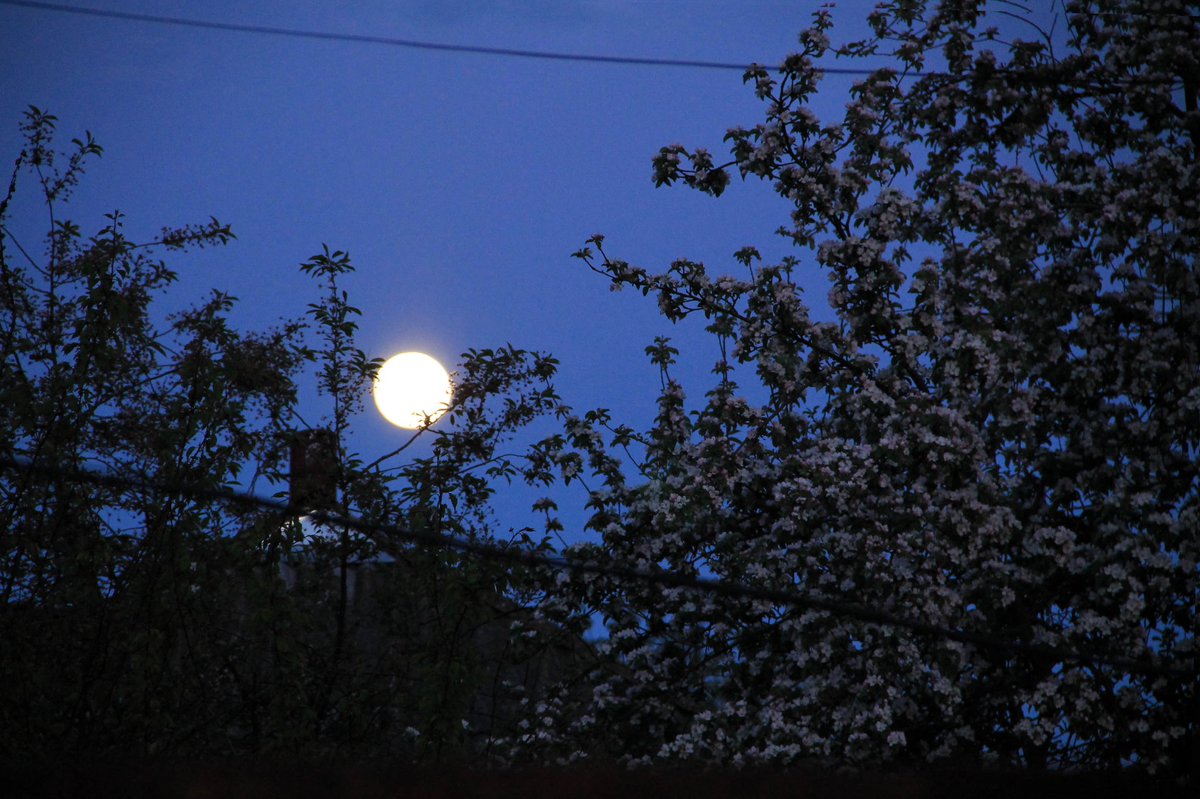 Helen18174248's tweet photo. Good night) #photo #night https://t.co/PNzxnzrf6d