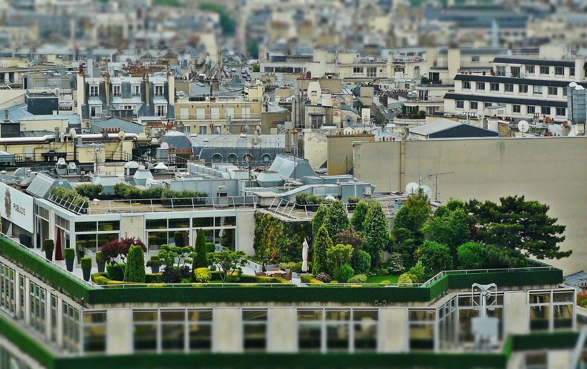 EcoPartnersLLC's tweet photo. New commercial buildings in commercial zone in France will be required to have their roofs covered partially with plants or #solar panels.

#Greenroof temps can be 30–40°F lower compared to conventional roofs. (@EPA)

(Via @CleanTechnica)
#renewableenergy
https://t.co/RONSq4LShm https://t.co/pgV0EF9wRf