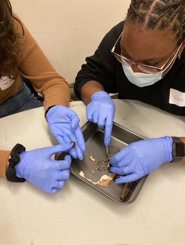 wisekidnetic's tweet image. 😁First day of Workshops for our new team! 
Some Instructors have been in schools since morning and others prepared in the morning &amp;amp; drive off to schools for afternoon  workshop delivery! Mondays never a dull moment! #STEMinclassrooms #STEMinManitoba #STEMeducation #STEMlearning