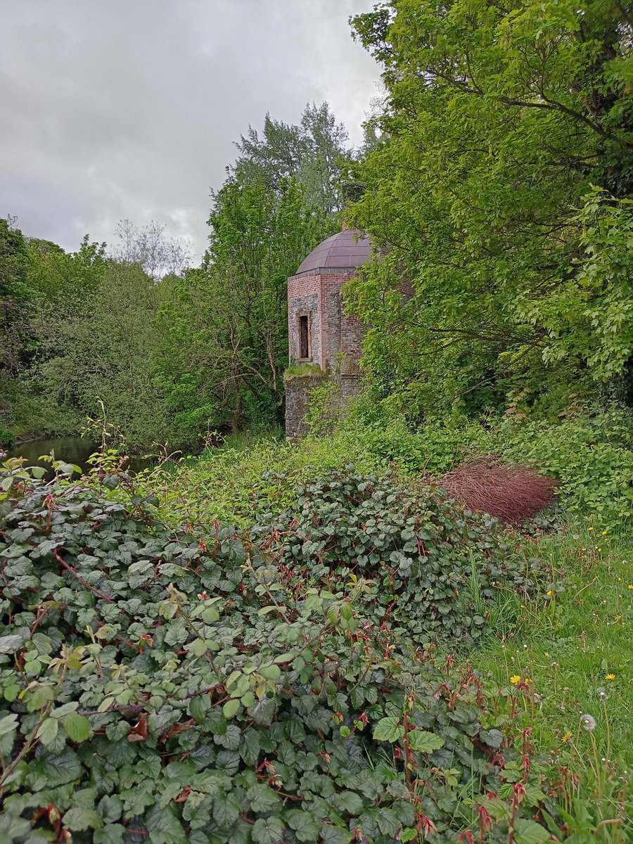 BettinaRezania's tweet photo. First time I walked 10000 steps again since coming home from hospital. ๐๐๐๐๐โ๏ธโ๏ธโ๏ธ Boathouse in Leixlip taken a few days ago. #daysofwalking https://t.co/CfAXXwc53u
