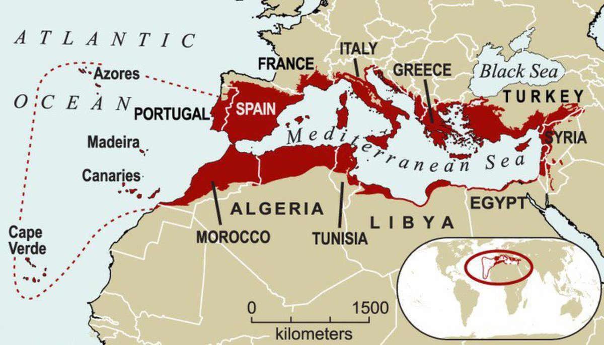 orikron's tweet photo. If you’re from the red areas, let’s do communism together https://t.co/axOAY03a12