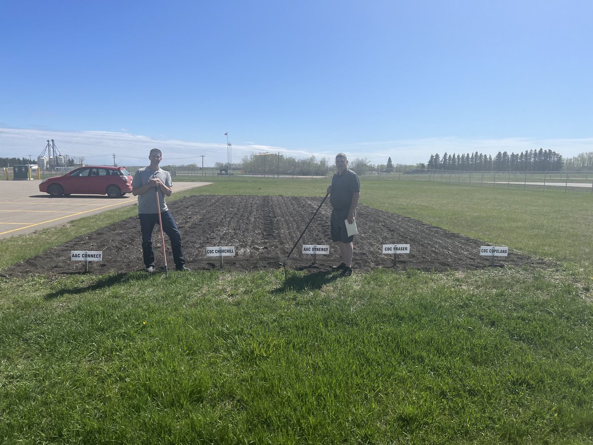 kevin_rahr's tweet image. Most common farmer phrase is &quot; hammer down &quot; on Twitter well at ⁦@rahr_malt⁩ ⁦@AlbertaBarley⁩ it&apos;s &quot; hoe down&quot; new and existing varieties are seeded and the #22plant is completed
