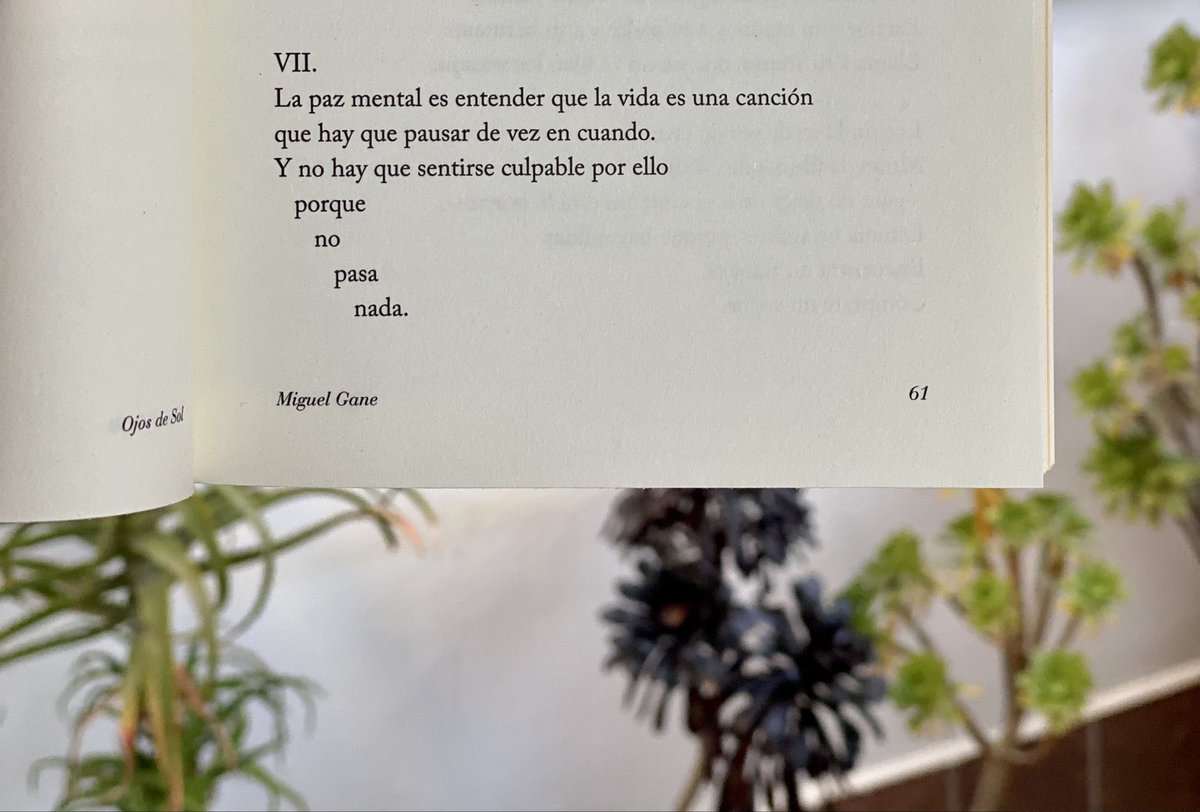 miguelgane's tweet photo. De mi libro, #OjosDeSol.

💛 https://t.co/d3I1FU2iJ7