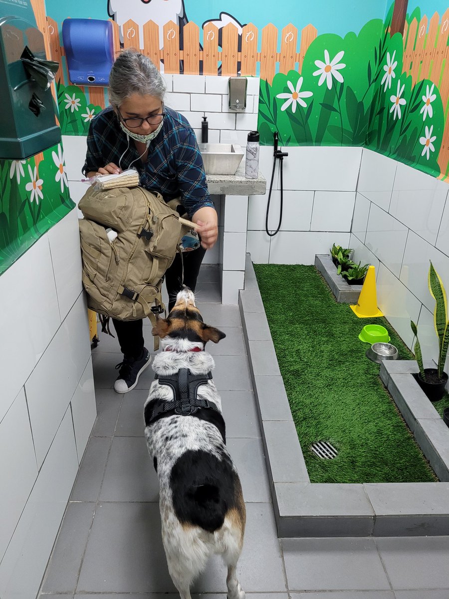 panpacificoaero's tweet photo. Recuerda que antes de salir de viaje o al llegar con tu mascota, puedes utilizar nuestro #PetRelief.
Es totalmente gratis y está ubicado justo al frente de la puerta 130.
#LaPrimeraSonrisaEnRecibirte
#Panamá
#HubDePanamá
#TocumenTeCuida https://t.co/uPTydTfVzh