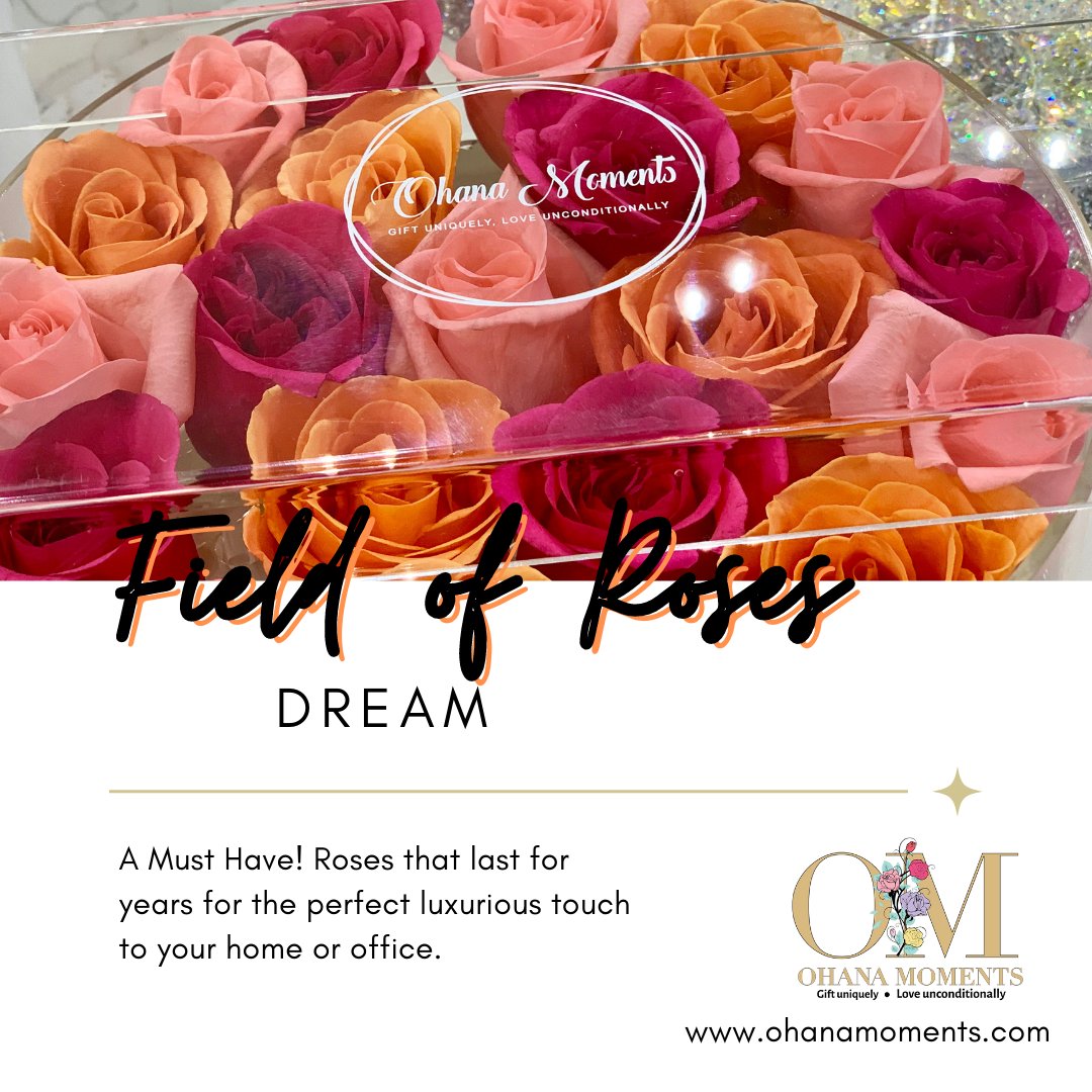 ohanamomentsmia's tweet image. You don't need a Kardashian budget to enjoy our Ohana Rose Boxes! 

#roses #roseboxes #foreverroses #eternityroses #celebrity #luxury #shopsmall #shoplocalmiami #miami #monday #rosesthatlast #gifts #homedecor #home #decor #birthday #anniversary #justbecause #love