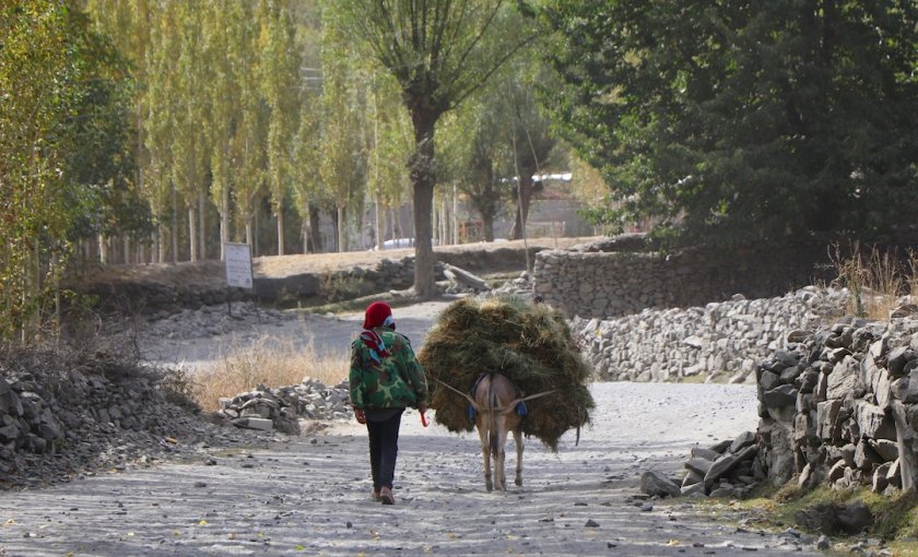 akdn's tweet photo. In remote settlements across #Afghanistan’s Pamir Mountains, locals have long struggled with landslides &amp; floods. Residents, with support from @UNEP &amp; @AKF_Global have replanted native trees &amp; shrubs on steep slopes, amongst other initiatives.
Learn more: https://t.co/7ekUdBKQDz https://t.co/Fq2P4t23WB