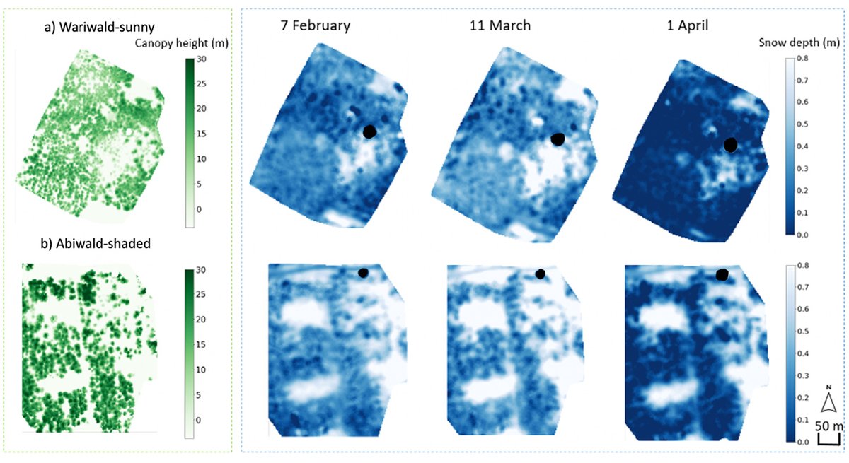 SLFSnowHydro tweet media