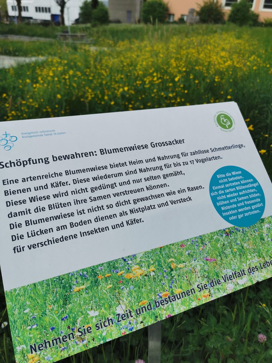 Es wird. tweet media