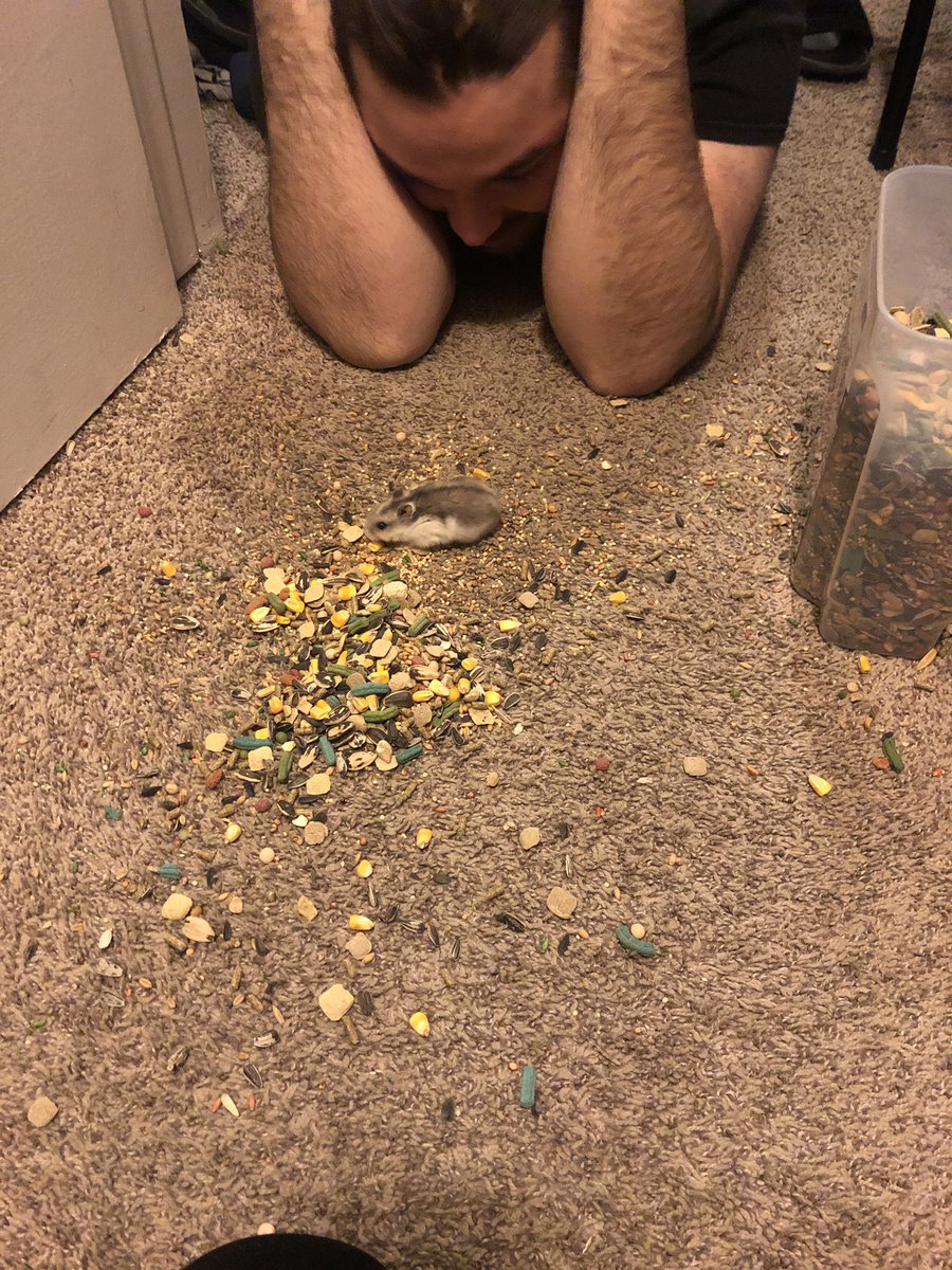 Kade_702's tweet photo. Me and kristina's hamster died and I never really thought it would suck this fucking much man you were such a good boy Sloan :(((( https://t.co/XcEfePSCxt