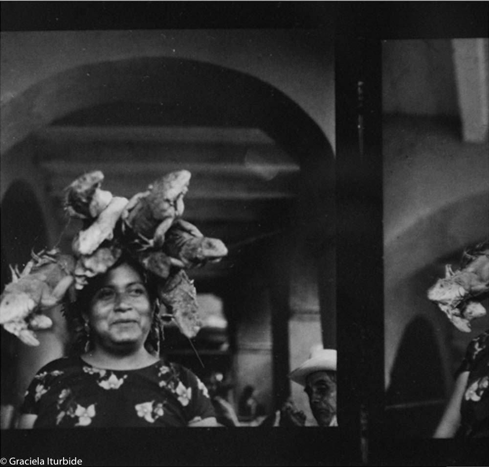 CuartoscuroMex's tweet photo. Con sólo 12 tomas disponibles en su cámara, Graciela Iturbide convirtió en un icono el retrato de Zobeida Díaz, una juchiteca que vendía iguanas en el mercado para hacer guisado o rellenar tamales https://t.co/GjbavBgLRt 

Felicitamos a la fotógrafa en su cumpleaños 80 📸 https://t.co/IgKBdH1Uci