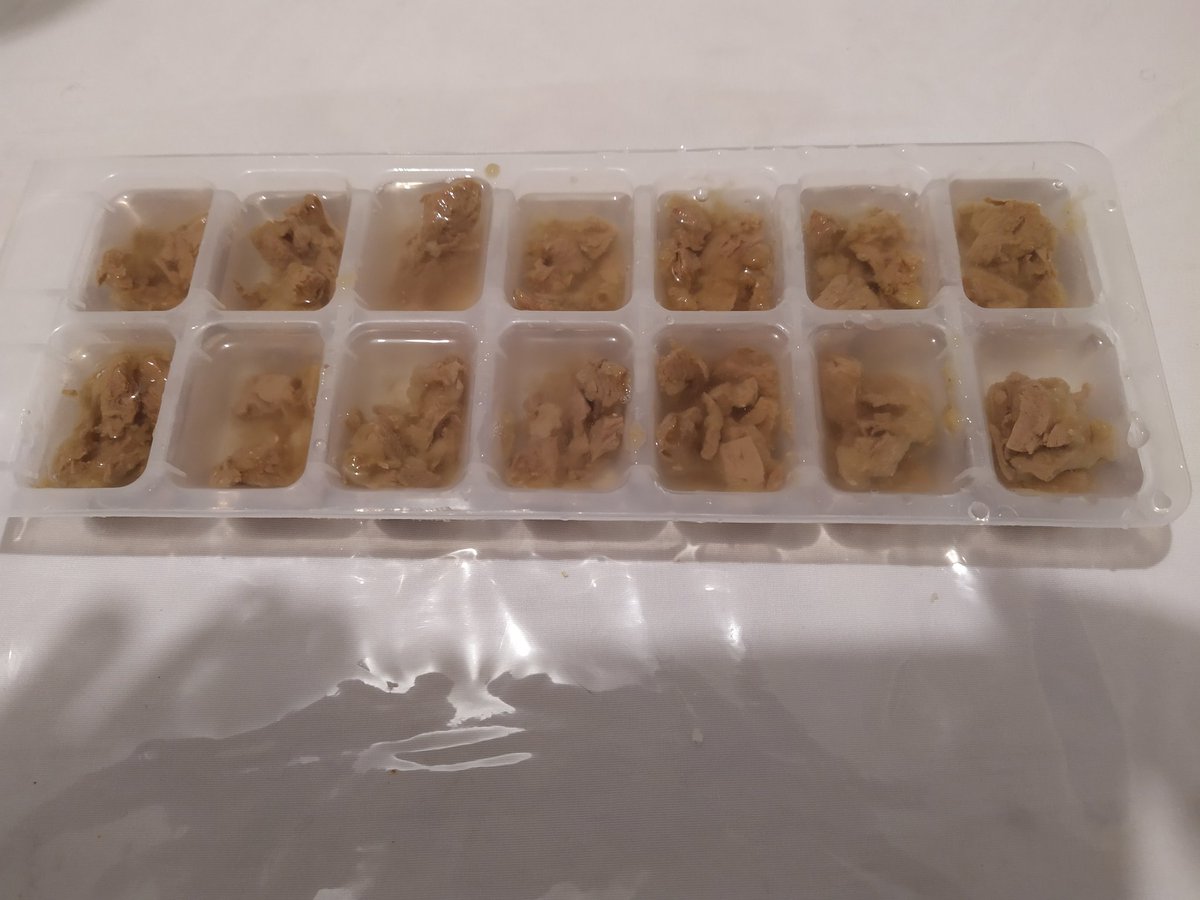 Mimoz0's tweet photo. Petite recette pour vos animaux, en cette période chaude, eux aussi aime la fraîcheur d'une "glace".
1 ) bac à glaçons
2) pâté
3) eau
4 ) 24h au congélateur
5) de 1 à 2 /jour suivant la chaleur https://t.co/qKVdB4ERei