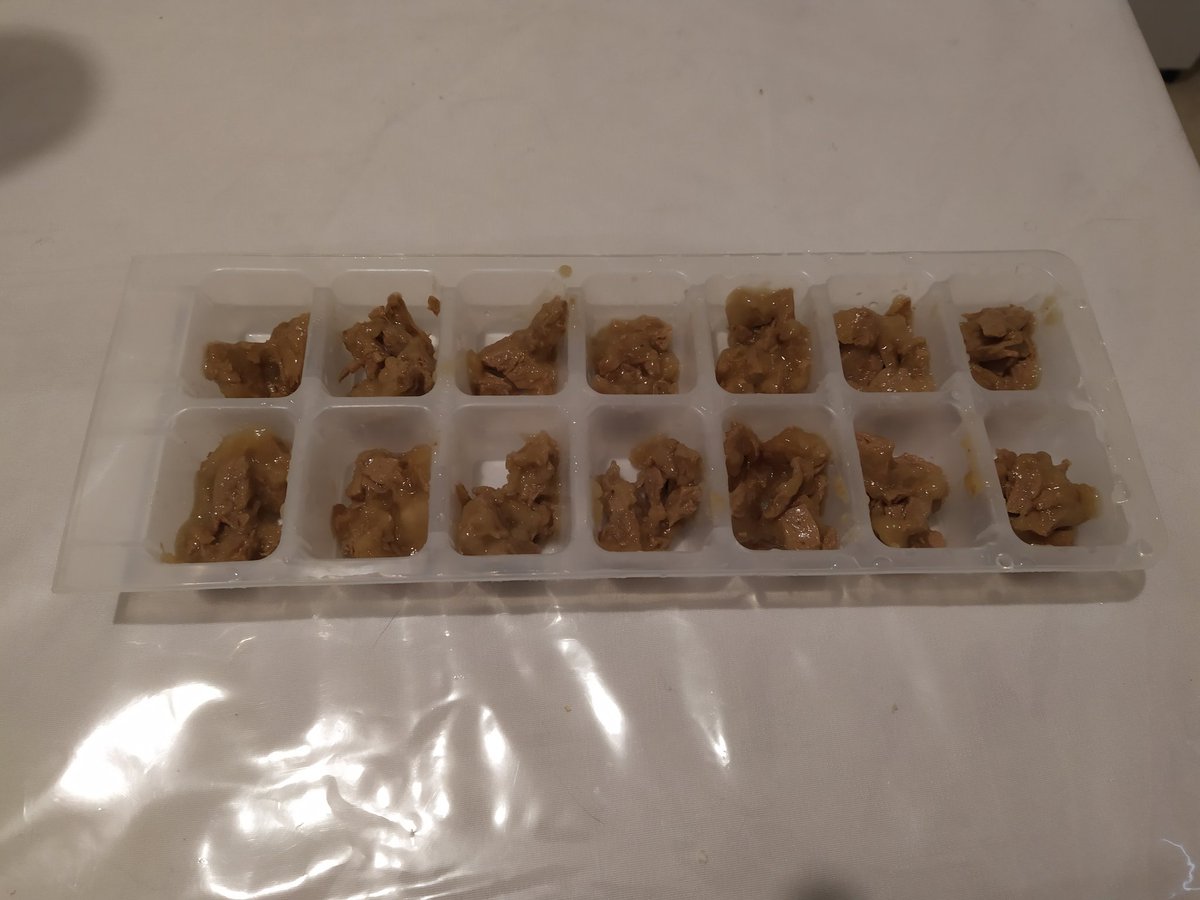 Mimoz0's tweet photo. Petite recette pour vos animaux, en cette période chaude, eux aussi aime la fraîcheur d'une "glace".
1 ) bac à glaçons
2) pâté
3) eau
4 ) 24h au congélateur
5) de 1 à 2 /jour suivant la chaleur https://t.co/qKVdB4ERei