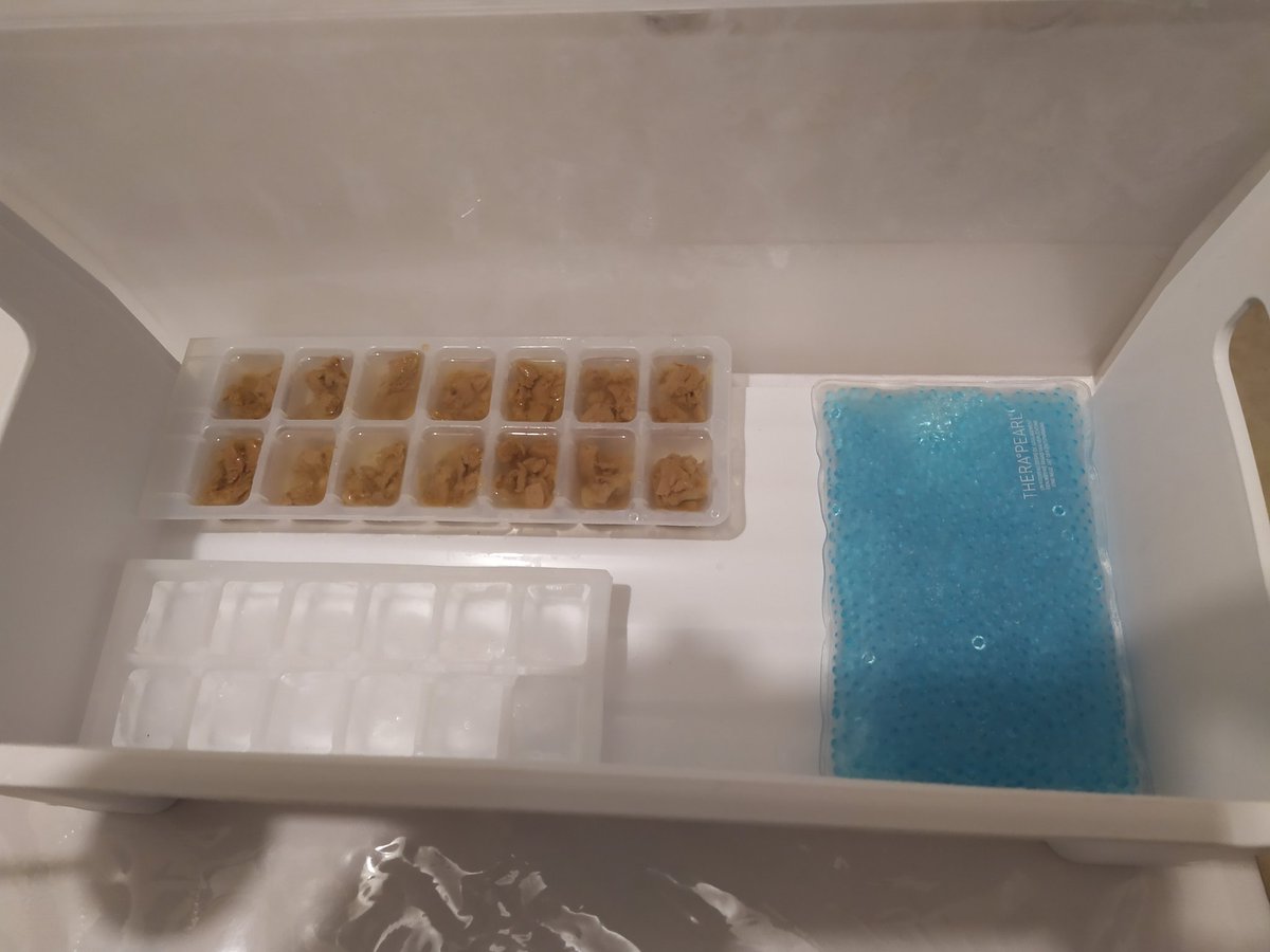 Mimoz0's tweet photo. Petite recette pour vos animaux, en cette période chaude, eux aussi aime la fraîcheur d'une "glace".
1 ) bac à glaçons
2) pâté
3) eau
4 ) 24h au congélateur
5) de 1 à 2 /jour suivant la chaleur https://t.co/qKVdB4ERei