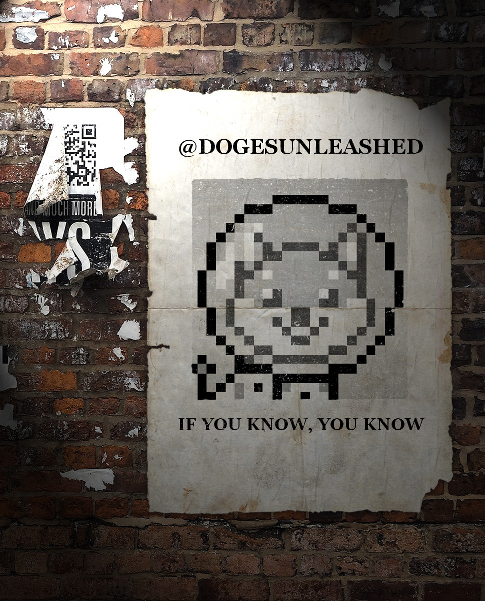 _nan41's tweet photo. @dOGesUnleashed #welikethedogs #WAGB https://t.co/OmWxQtcv3B