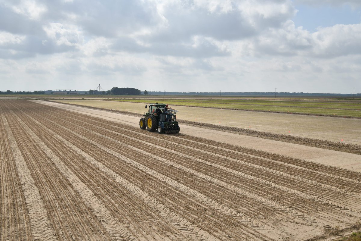 dustingnorth's tweet photo. The @AginArk Rice Breeding is about to wrap up #plant22. Just over a month from first to last planting to allow time for selecting and harvesting this season. #RiceCheckoffAtWork #Rice @ArkAgResearch https://t.co/ezjs56PkLE