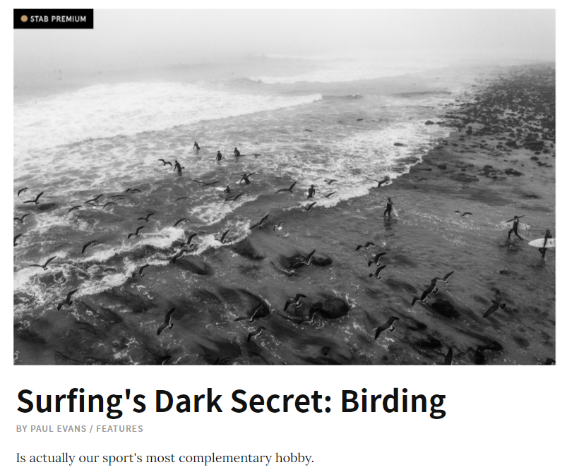 ChataFrata tweet media