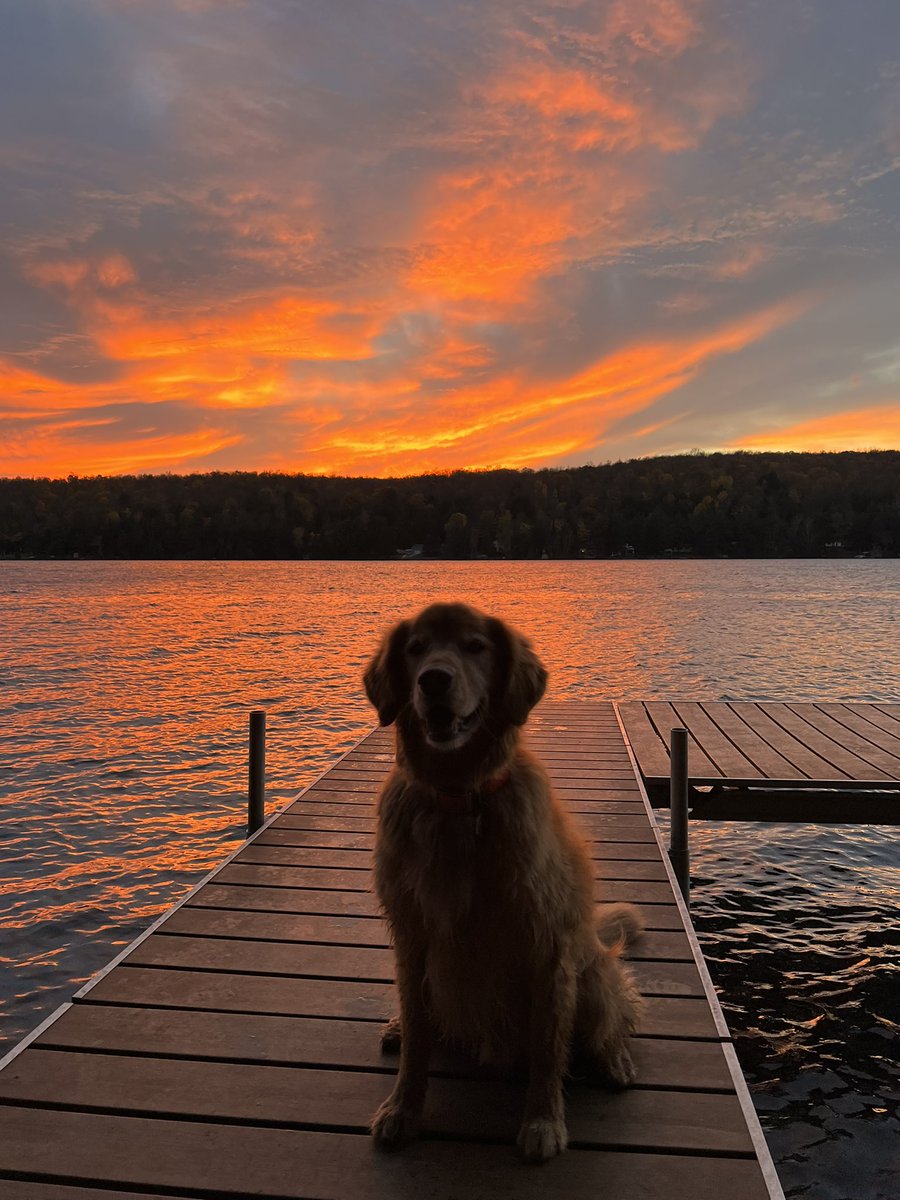 tonOapples's tweet photo. @TheGoldenRatio4 Golden and docks 🤔 https://t.co/vw9OpKiJ2j