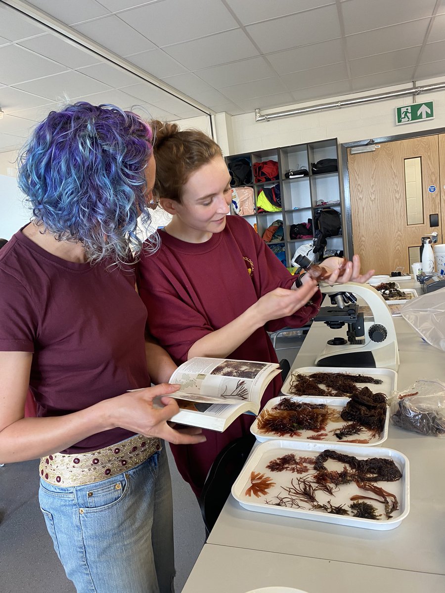 Emma Stuart tweet media