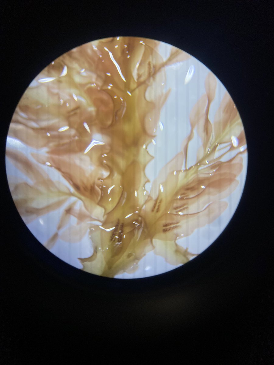 Emma Stuart tweet media