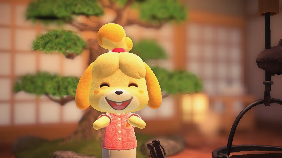 skinnamina's tweet photo. #AnimalCrossing #ACNH #NintendoSwitch https://t.co/K88ueJKfsh