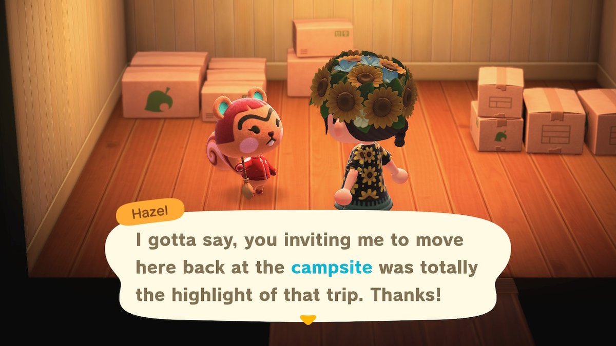 castawayisle's tweet photo. decided to get hazel from my campsite bc i needed a sisterly i luv her lol #AnimalCrossing #ACNH #NintendoSwitch https://t.co/Dau0Rd5vvk