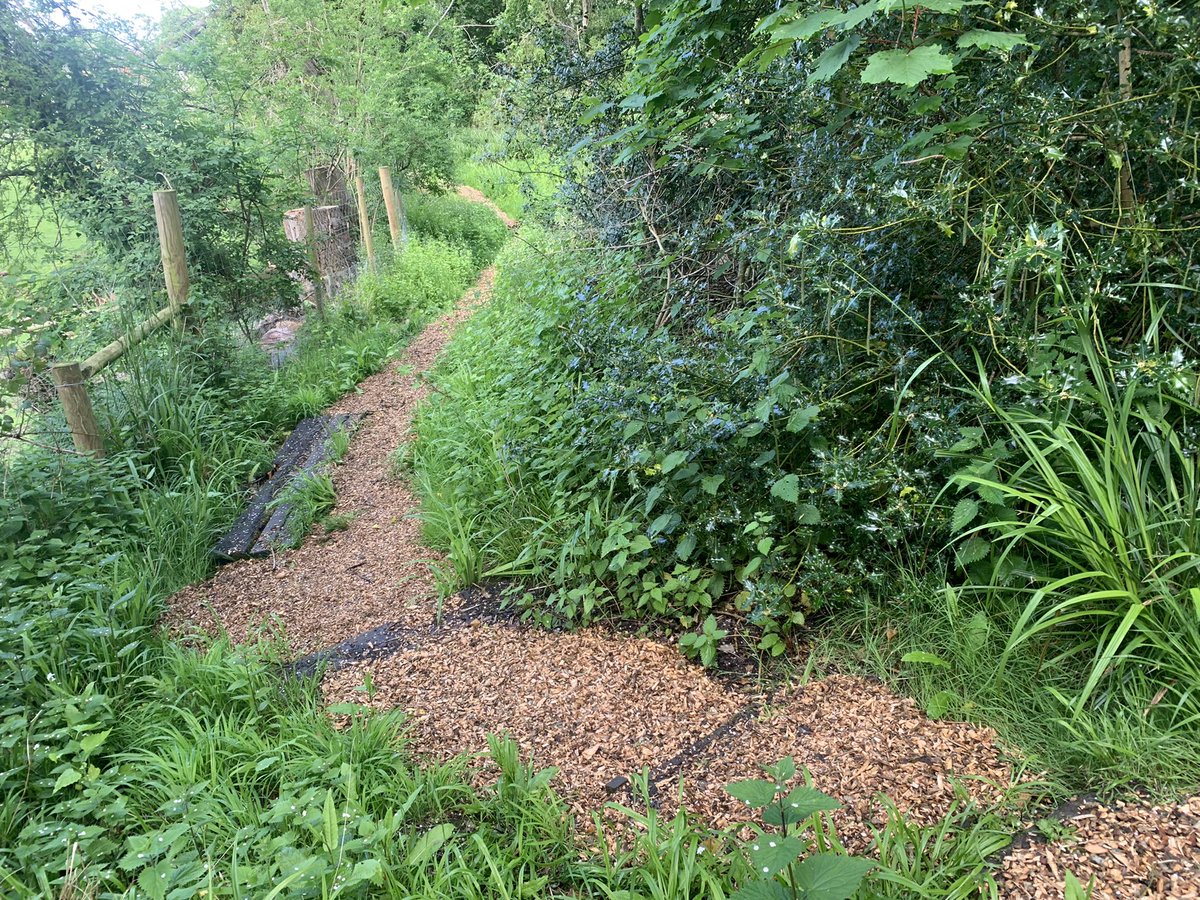 Pedal_R's tweet photo. An awesome day at @scienceoxford dodging the showers, laying paths, weeding and planting raised beds and rehoming a gaggle of newts! Thanks for all your help to our willing #volunteers - you are the best, you even brought snacks! https://t.co/twfWFBnPlr