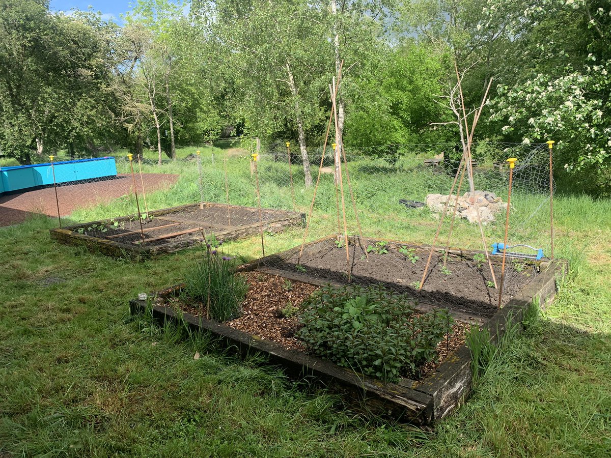 Pedal_R's tweet photo. An awesome day at @scienceoxford dodging the showers, laying paths, weeding and planting raised beds and rehoming a gaggle of newts! Thanks for all your help to our willing #volunteers - you are the best, you even brought snacks! https://t.co/twfWFBnPlr