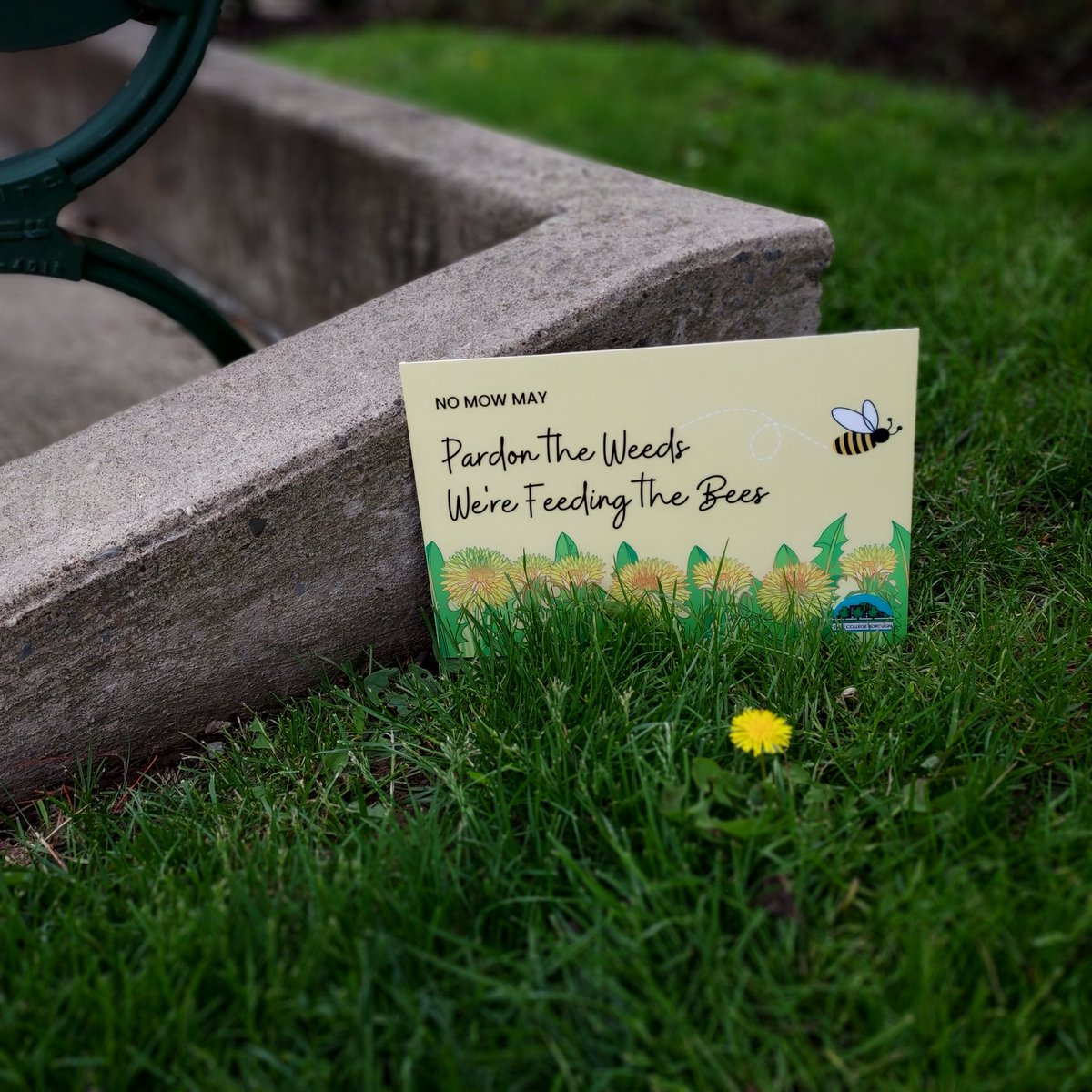 SchlowLibrary's tweet photo. We’ll 🐝 #Mowless for May…how about you? https://t.co/vOXYWRb0Kb