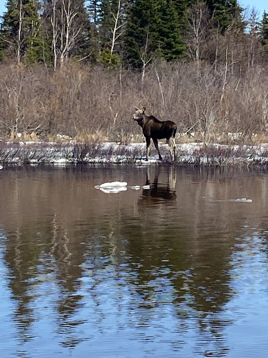Mud Lake School tweet media