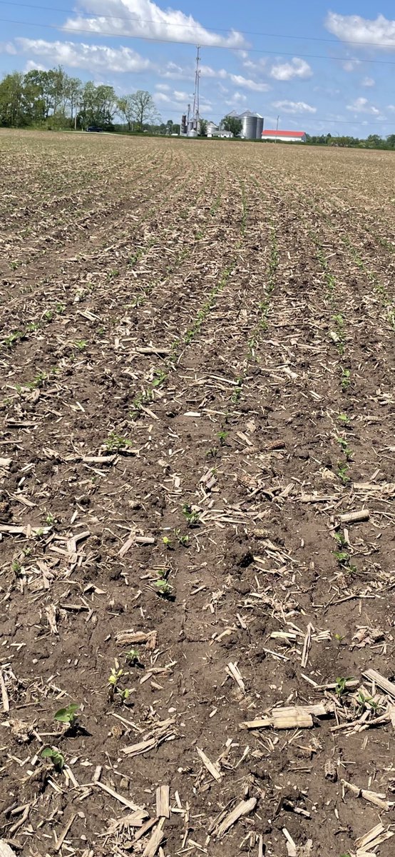 Mitch Greve tweet media