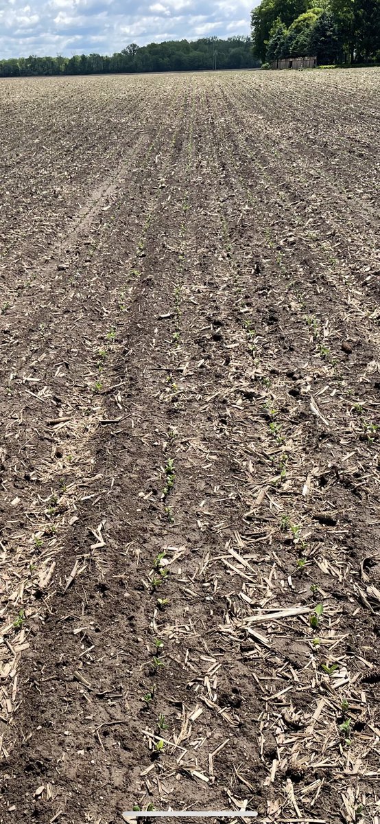 Mitch Greve tweet media