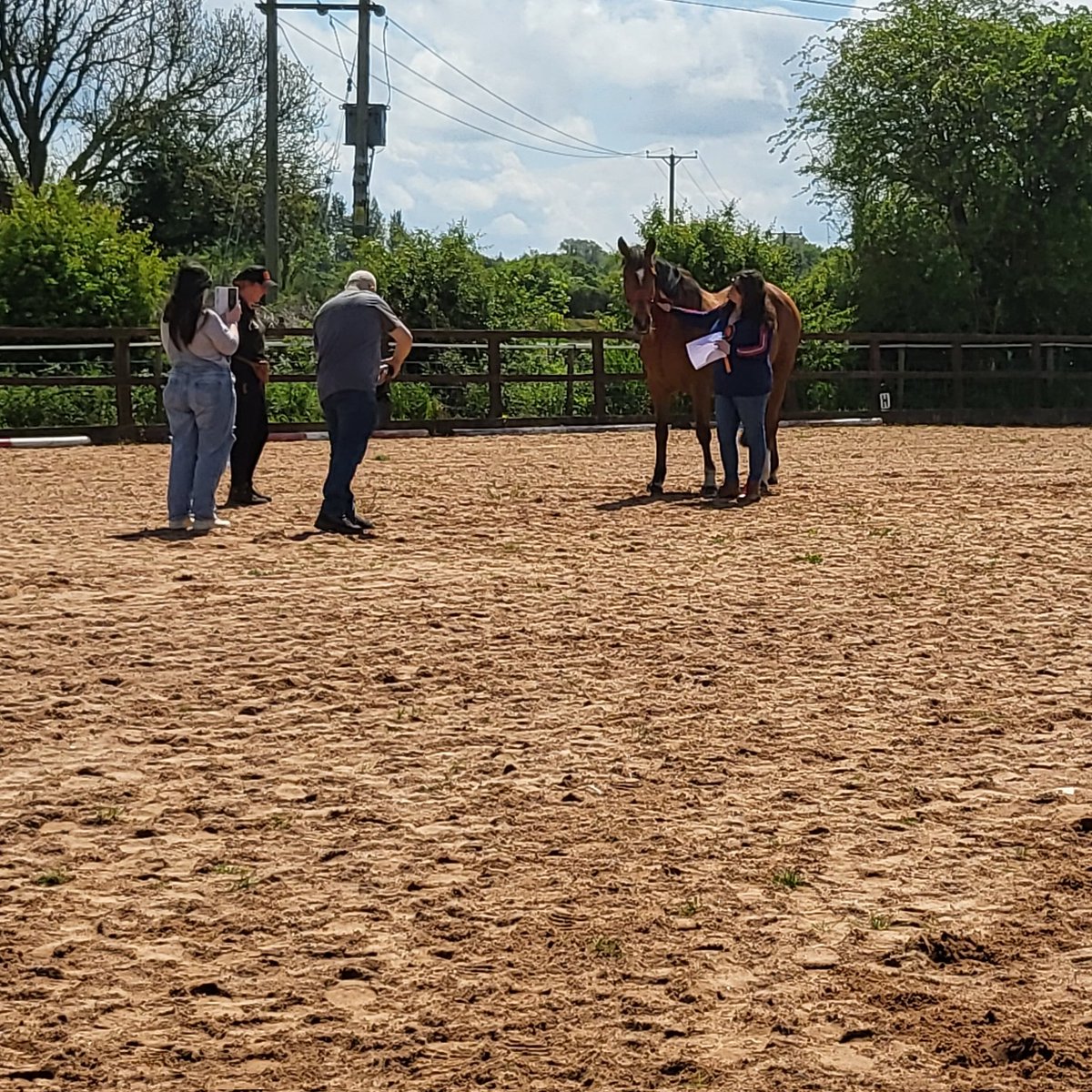 DinaCShale's tweet photo. That's a wrap!! 

Another 12 weeks of Project Pony complete.
When we complete our 12 weeks we usually do testimonials and here are some of the words people had to say about what we do and how they feel about Project Pony! 💫empowering
💫informative
💫 safe https://t.co/ndsgou9uic