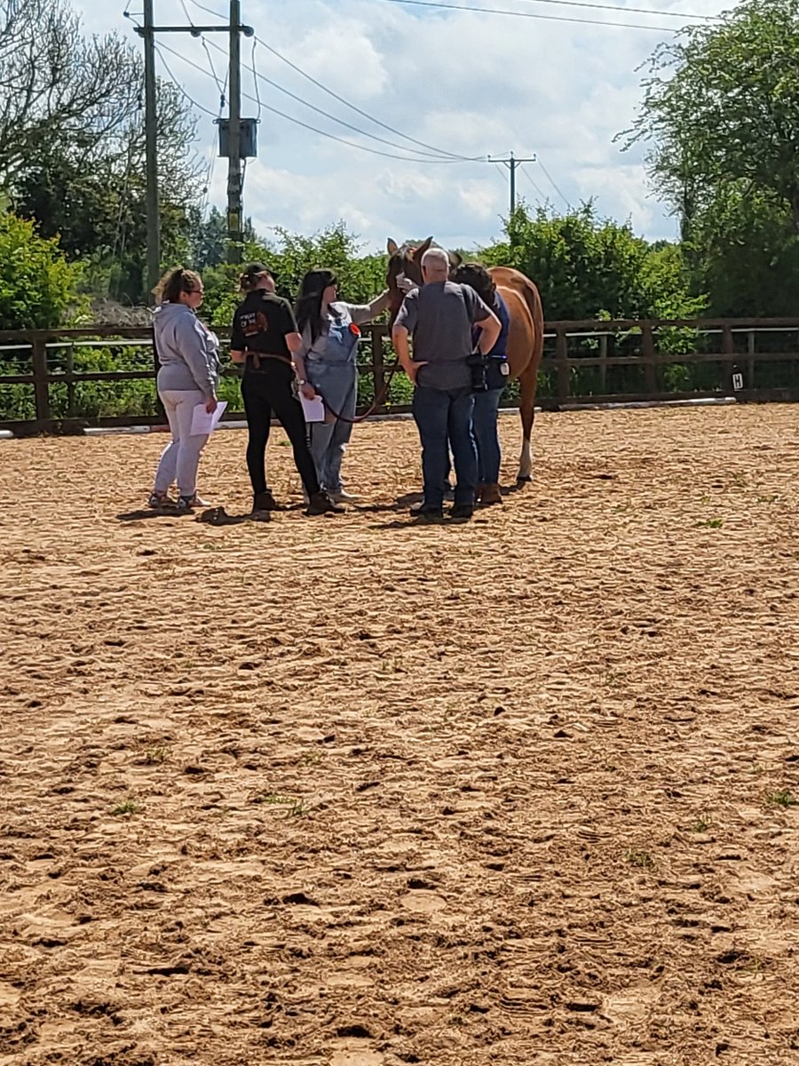 That's a wrap!! 

Another 12 weeks of Project Pony complete.
When we complete our 12 weeks we usually do testimonials and here are some of the words people had to say about what we do and how they feel about Project Pony! 💫empowering
💫informative
💫 safe