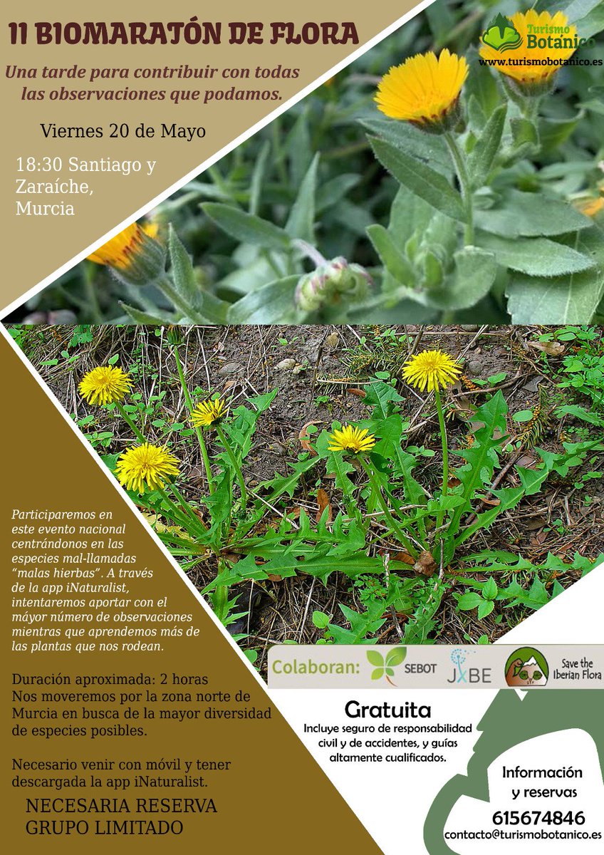 Regmurcialimpia's tweet photo. Biomaraton de Flora por Santiago y Zaraiche. #Mufans de este plan https://t.co/Fs5QmaZmS7