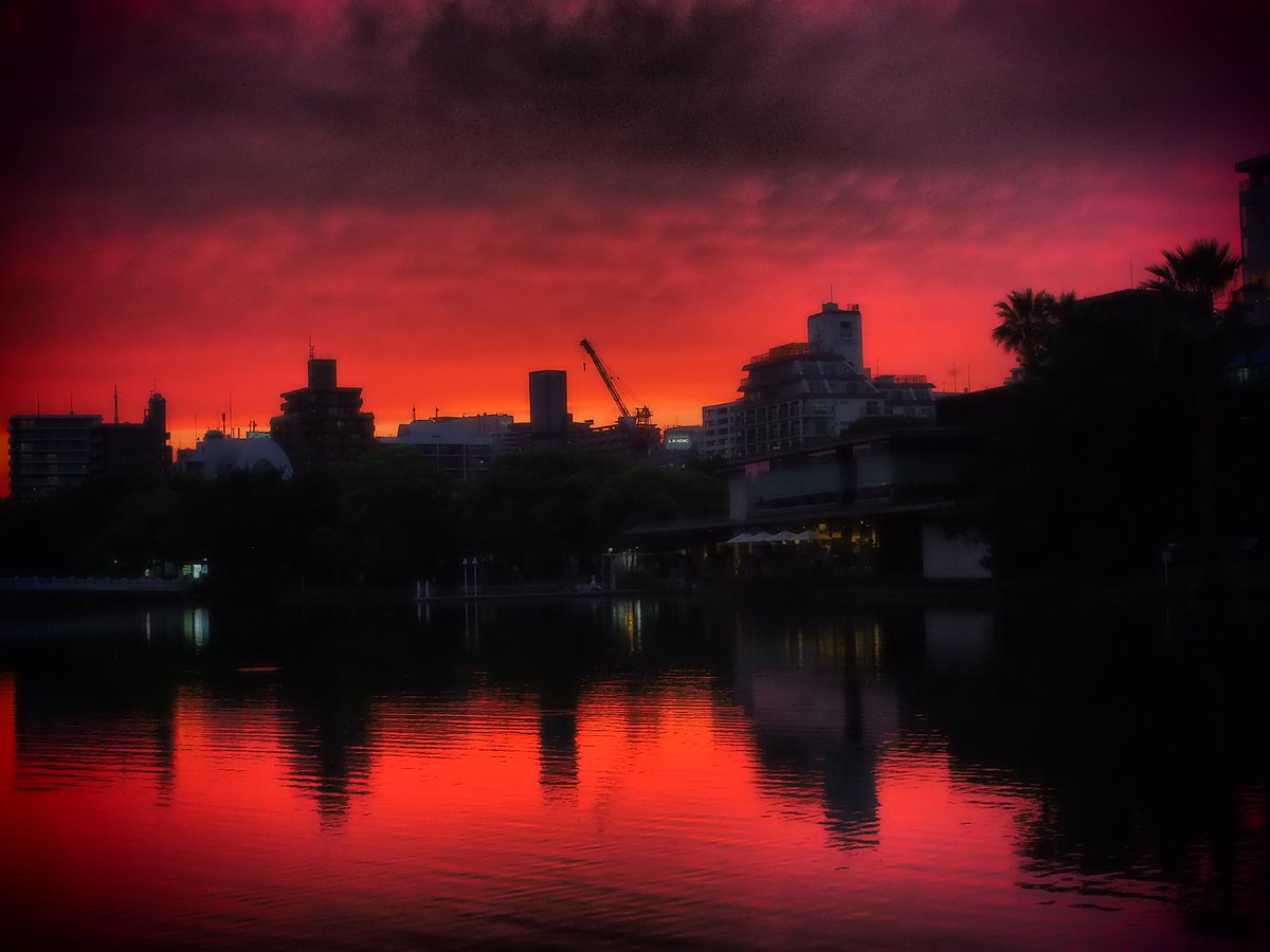 bokuman82's tweet photo. ほんまにこんな色になんのかって？
なんのですよ。

#OM-D
#perger 25mm F1.8 https://t.co/mRdK6NDdIs