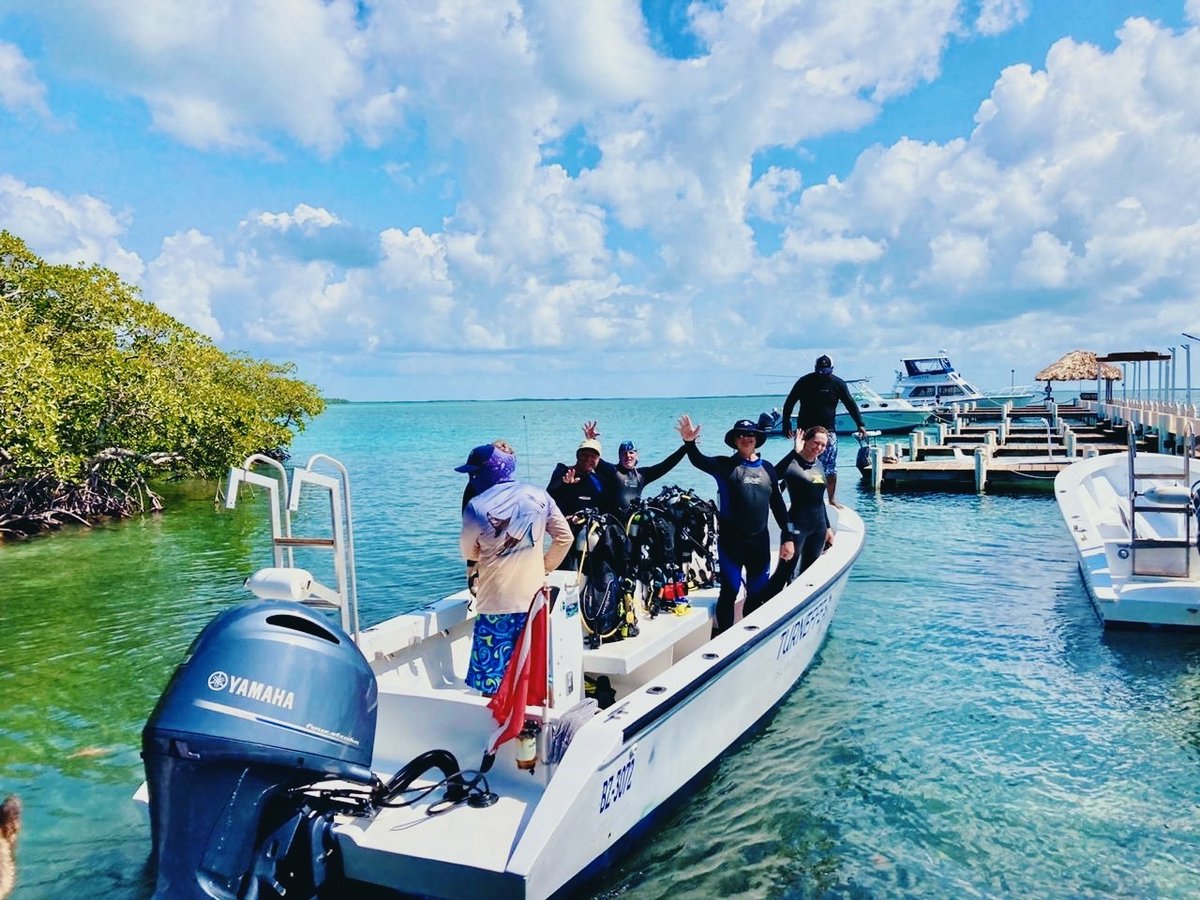 TurneffeResort's tweet photo. And we’re off! Nothing beats a weekend full of scuba diving through the Belize Barrier Reef.
#belize #privateisland #vacation #luxury #travel #resort #hotel #adventure #beach #subadiving #diving https://t.co/f8zvIQ7dXm